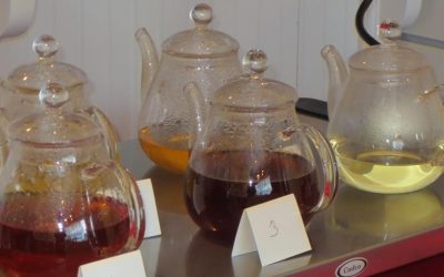 Tea Tasting and Tea Sale Today, 2/17, 1-5PM