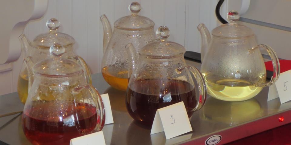 Tea Tasting and Tea Sale Today, 2/17, 1-5PM