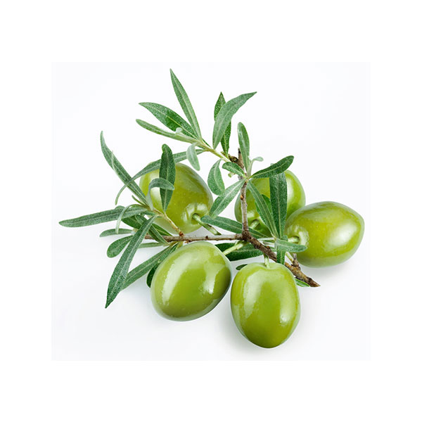 Sicilian Nocellara MEDIUM Olive Oil (Italy) - The Tubby Olive