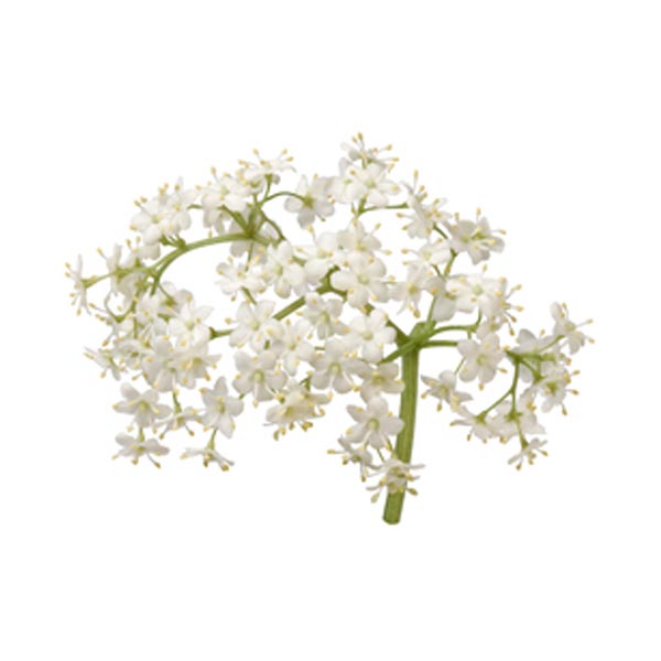 elderflower white balsamic from The Tubby Olive